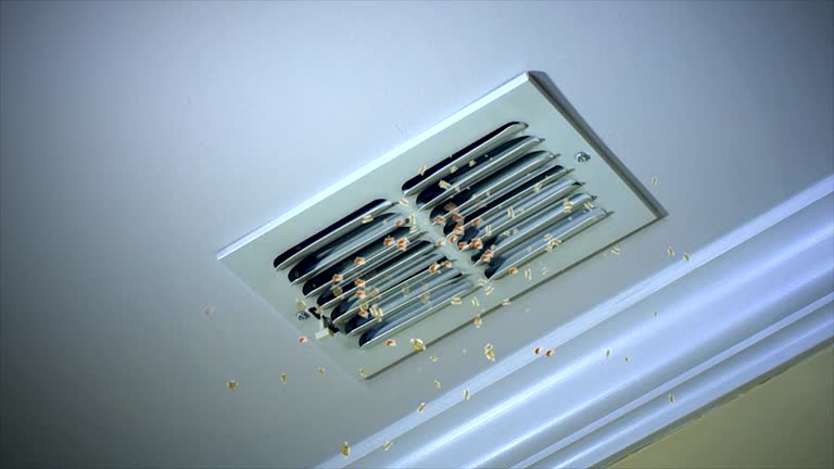 Ventilation Cleaning Services in Lenwood, CA
